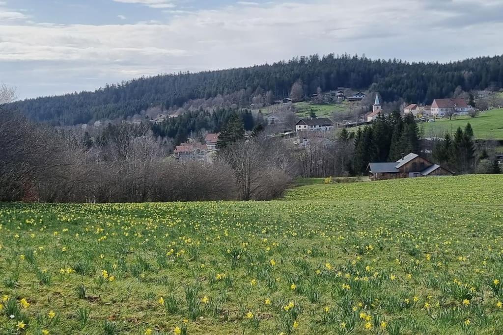 Le Grenier De Jules Et Marguerite Villa Liezey Luaran gambar